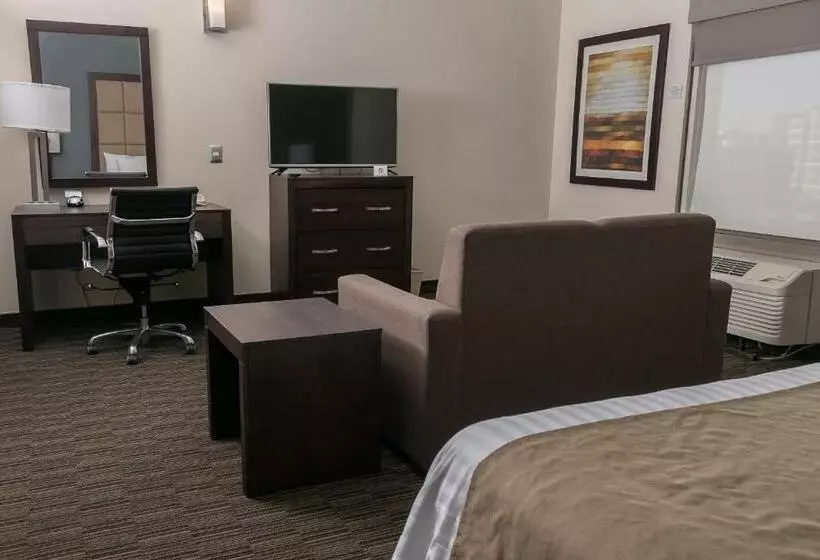 سوئیت با تخت بزرگ, Best Western Plus Chihuahua Juventud