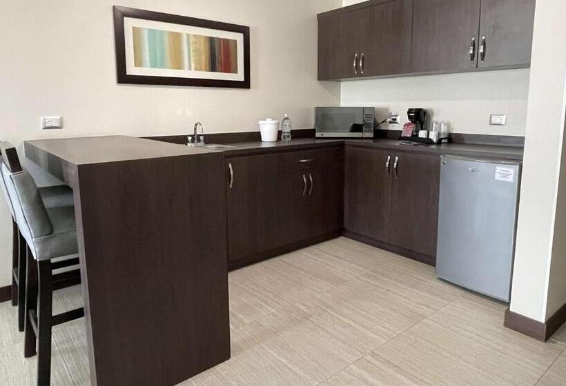 سوئیت با تخت بزرگ, Best Western Plus Chihuahua Juventud