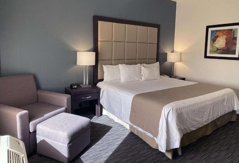 اتاق استاندارد با تخت بزرگ, Best Western Plus Chihuahua Juventud