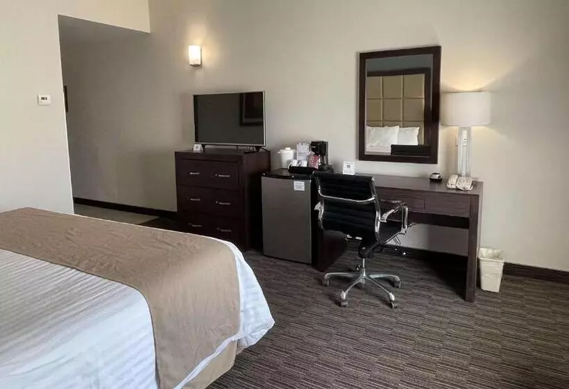 اتاق استاندارد با تخت بزرگ, Best Western Plus Chihuahua Juventud
