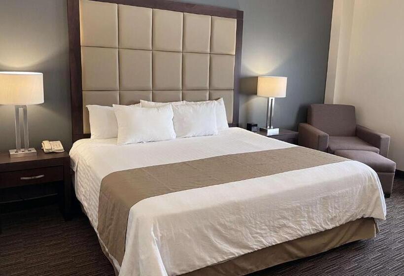 اتاق استاندارد با تخت بزرگ, Best Western Plus Chihuahua Juventud