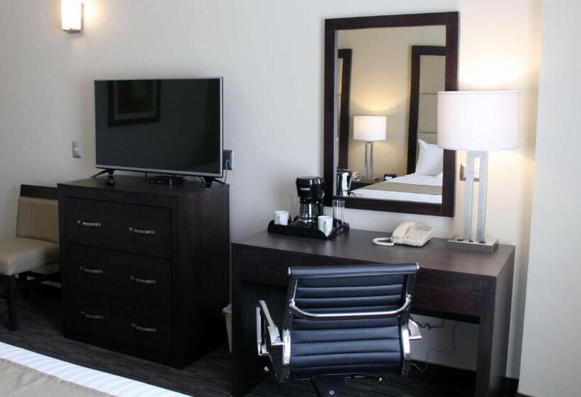اتاق استاندارد با تخت بزرگ, Best Western Plus Chihuahua Juventud