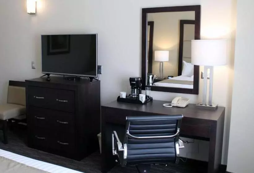 اتاق استاندارد با تخت بزرگ, Best Western Plus Chihuahua Juventud