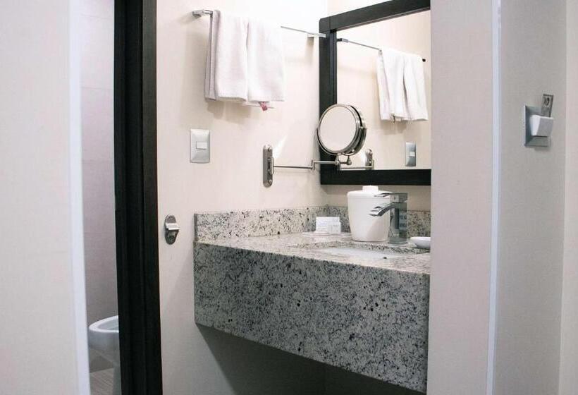 اتاق استاندارد با تخت بزرگ, Best Western Plus Chihuahua Juventud