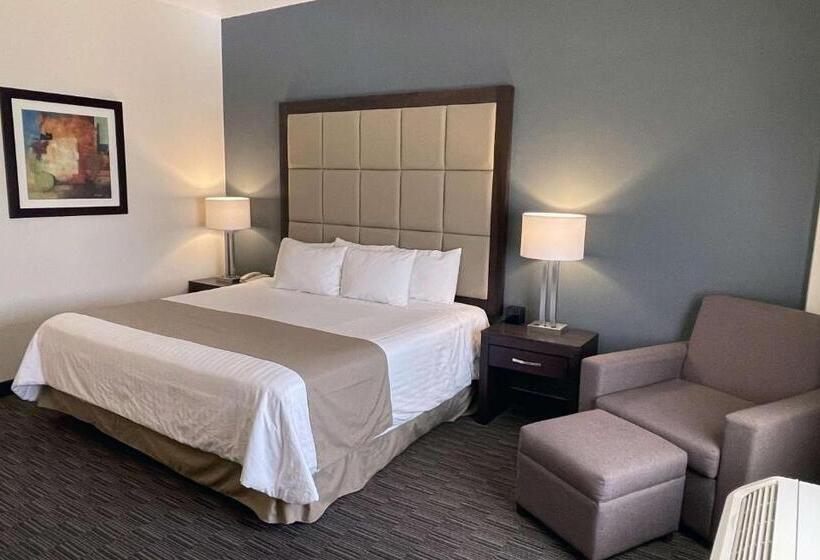 اتاق استاندارد با تخت بزرگ, Best Western Plus Chihuahua Juventud