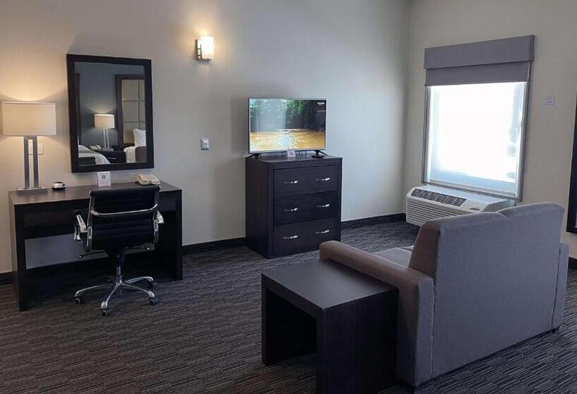 سوئیت با تخت بزرگ, Best Western Plus Chihuahua Juventud
