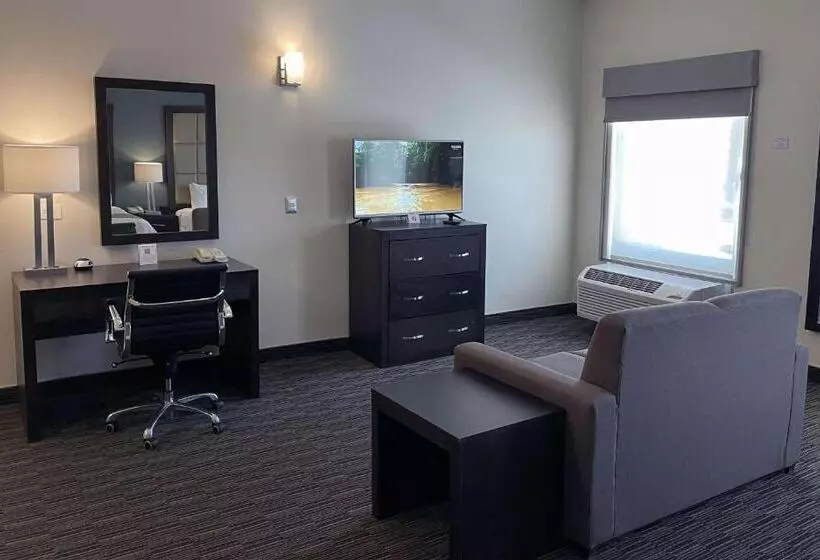 سوئیت با تخت بزرگ, Best Western Plus Chihuahua Juventud