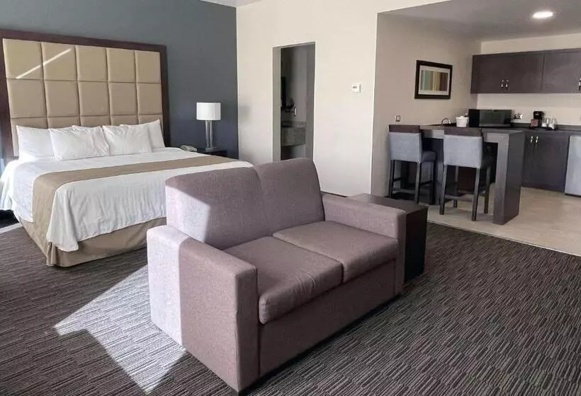 سوئیت با تخت بزرگ, Best Western Plus Chihuahua Juventud