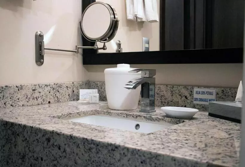 سوئیت با تخت بزرگ, Best Western Plus Chihuahua Juventud
