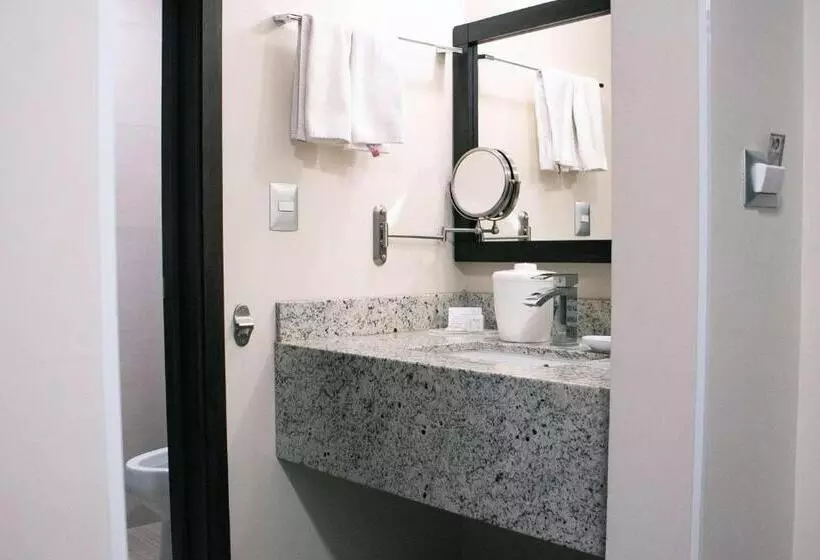 سوئیت با تخت بزرگ, Best Western Plus Chihuahua Juventud
