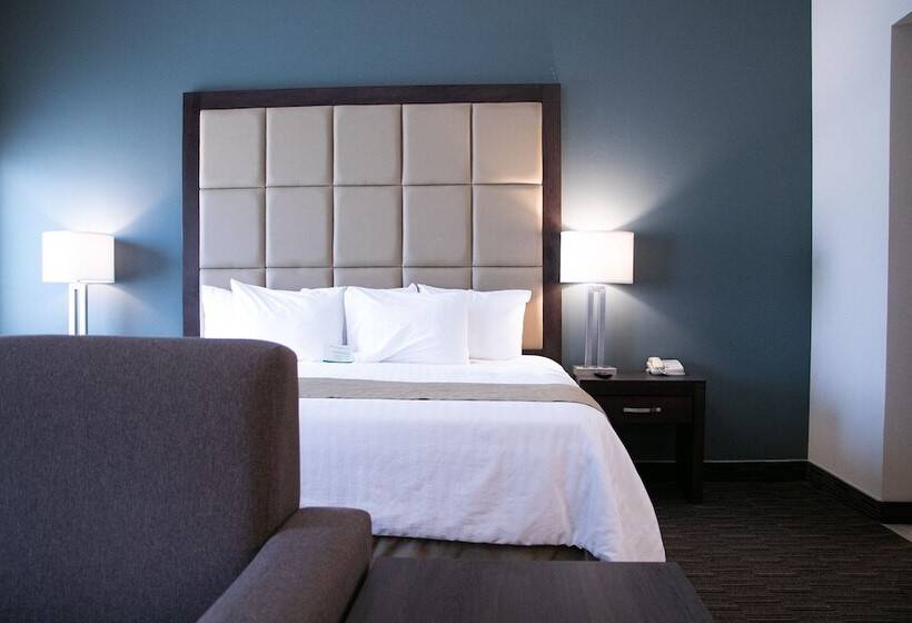 سوییت, Best Western Plus Chihuahua Juventud