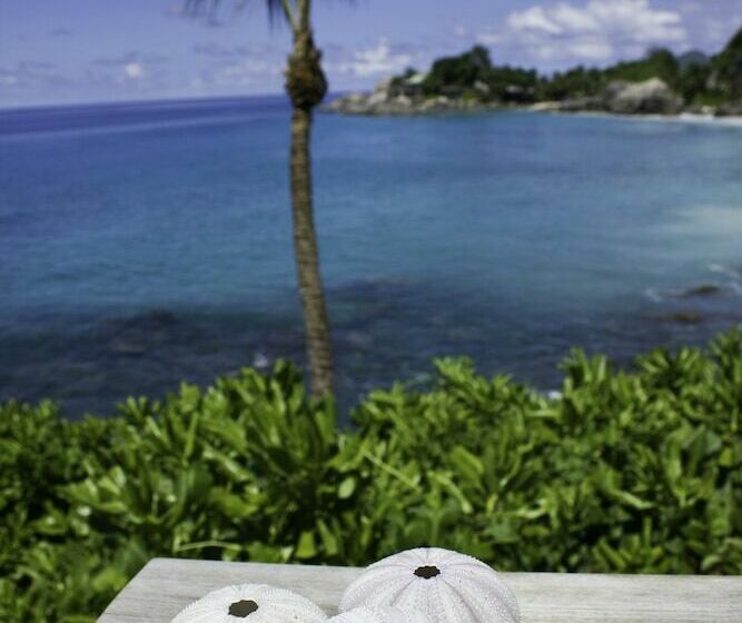 کلبه ییلاقی, Caranabeach