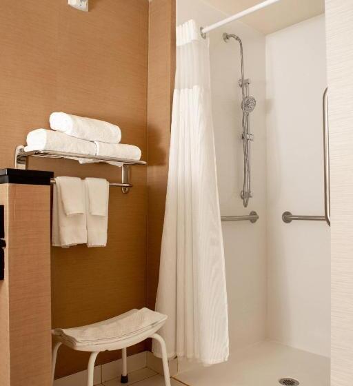 Люкс Кровать Кинг, Fairfield Inn & Suites By Marriott Richmond Midlothian