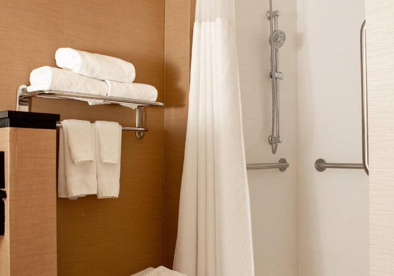 Люкс Кровать Квин, Fairfield Inn & Suites By Marriott Richmond Midlothian