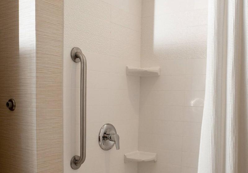 Люкс Кровать Квин, Fairfield Inn & Suites By Marriott Richmond Midlothian