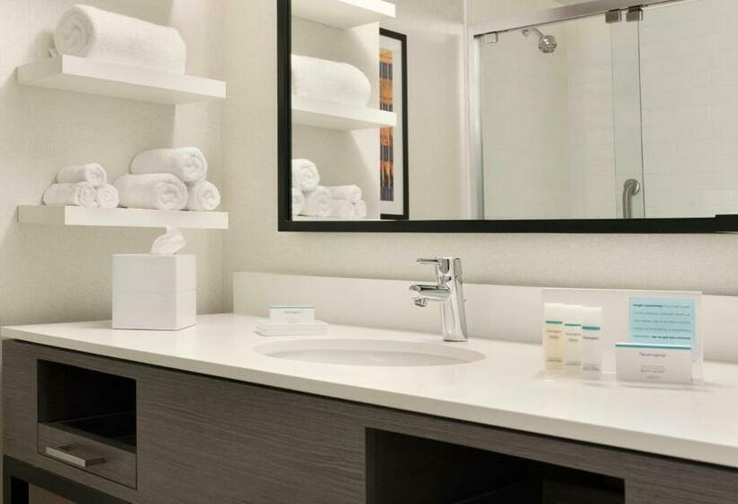 اتاق استاندارد با تخت بزرگ, Hampton Inn Chicago West Loop Fulton Market Area