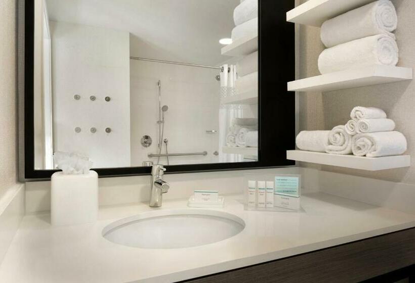 اتاق استاندارد با تخت بزرگ برای معلولان, Hampton Inn Chicago West Loop Fulton Market Area