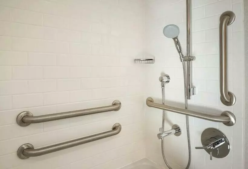 اتاق استاندارد با تخت بزرگ برای معلولان, Hampton Inn Chicago West Loop Fulton Market Area