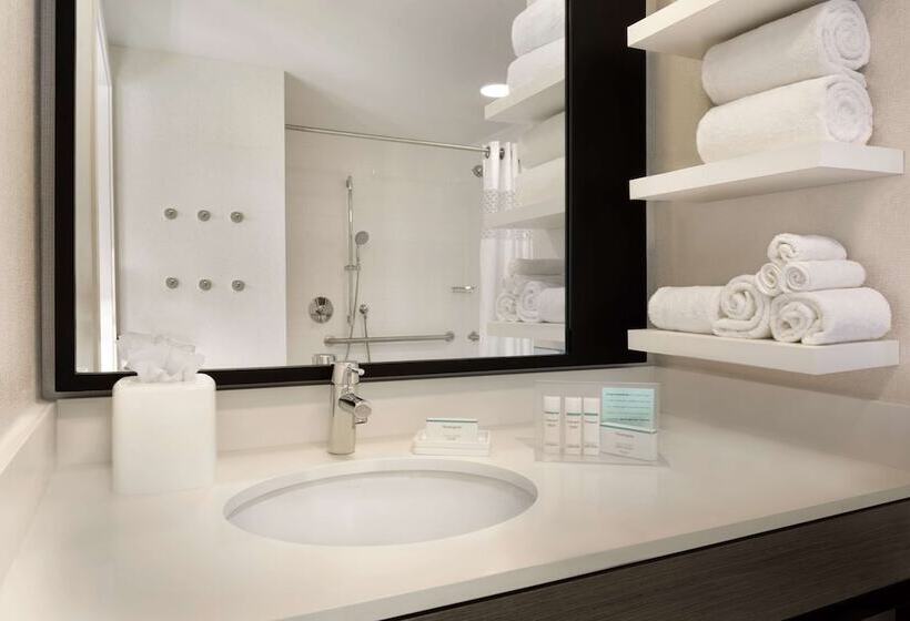 اتاق استاندارد با تخت دوبل برای معلولان, Hampton Inn Chicago West Loop Fulton Market Area