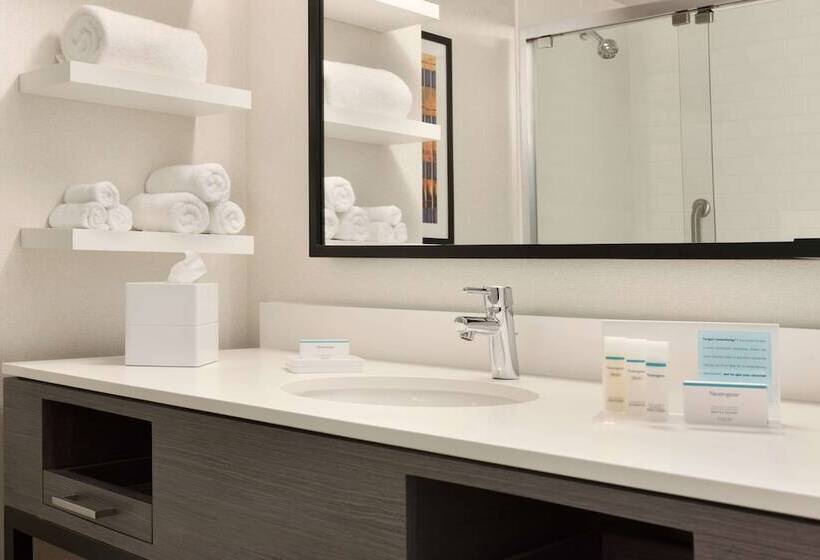 Quarto Standard Cama Casal para Deficientes, Hampton Inn Chicago West Loop Fulton Market Area