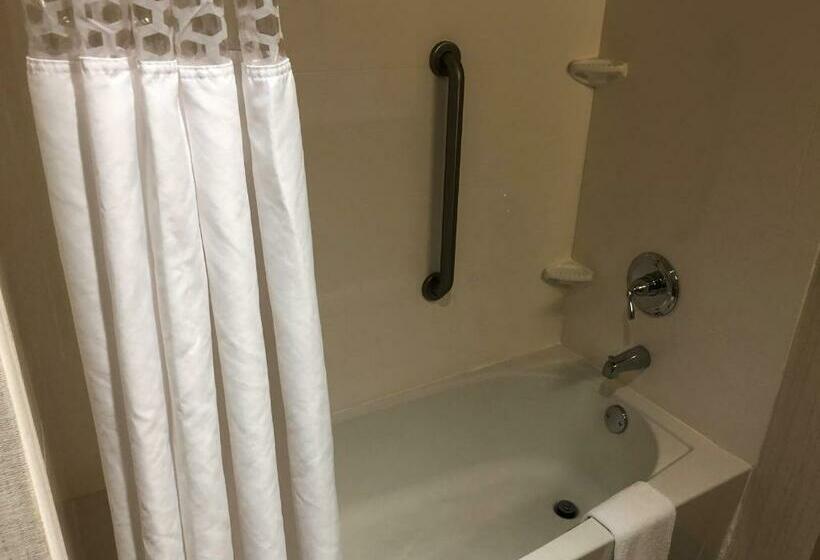 غرفة قياسية سرير كينج لذوى الإحتياجات الخاصة, Hampton Inn & Suites Tampa Busch Gardens Area