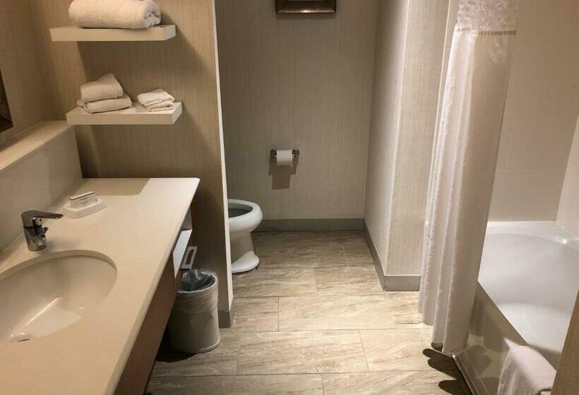 غرفة قياسية سرير كينج, Hampton Inn & Suites Tampa Busch Gardens Area