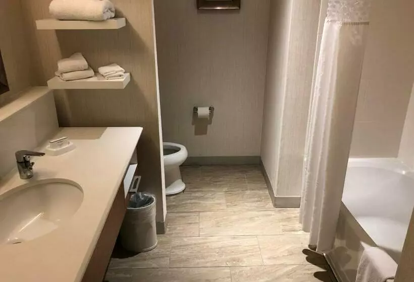キングサイズベッドのスタンダードルーム, Hampton Inn & Suites Tampa Busch Gardens Area