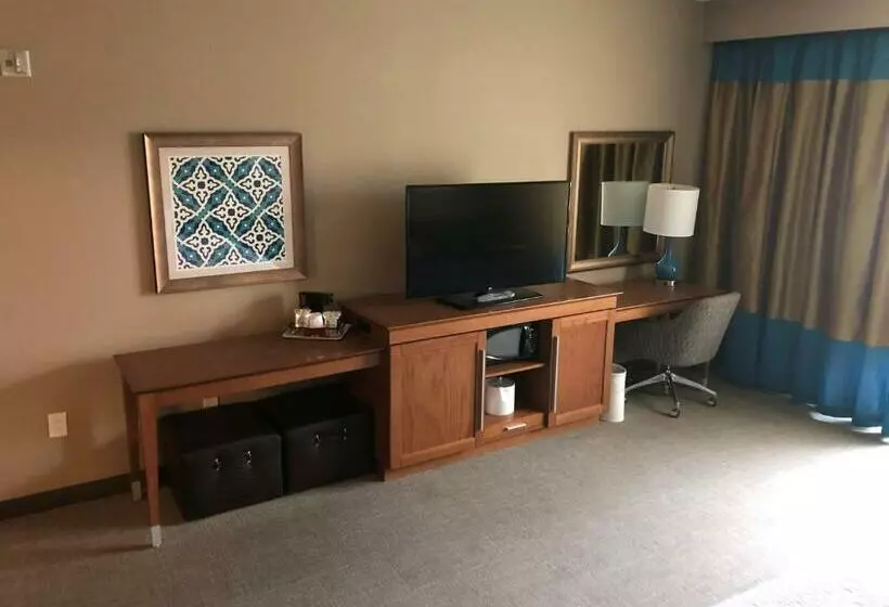 身障者適用キングサイズベッドルーム, Hampton Inn & Suites Tampa Busch Gardens Area