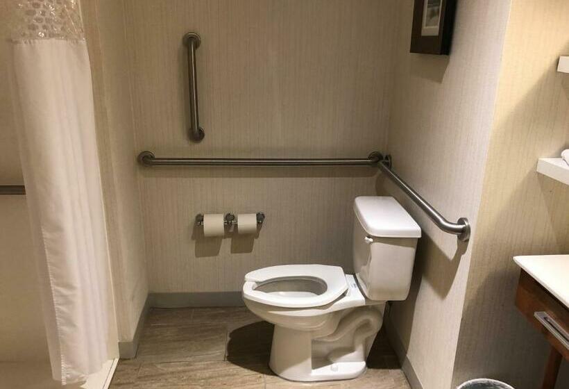 غرفة قياسية سرير كينج لذوى الإحتياجات الخاصة, Hampton Inn & Suites Tampa Busch Gardens Area