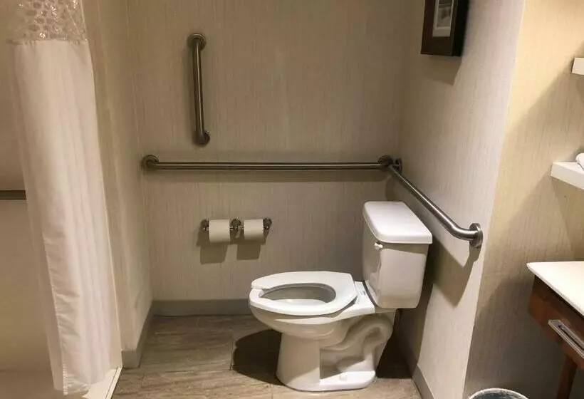 身障者適用キングサイズベッドルーム, Hampton Inn & Suites Tampa Busch Gardens Area