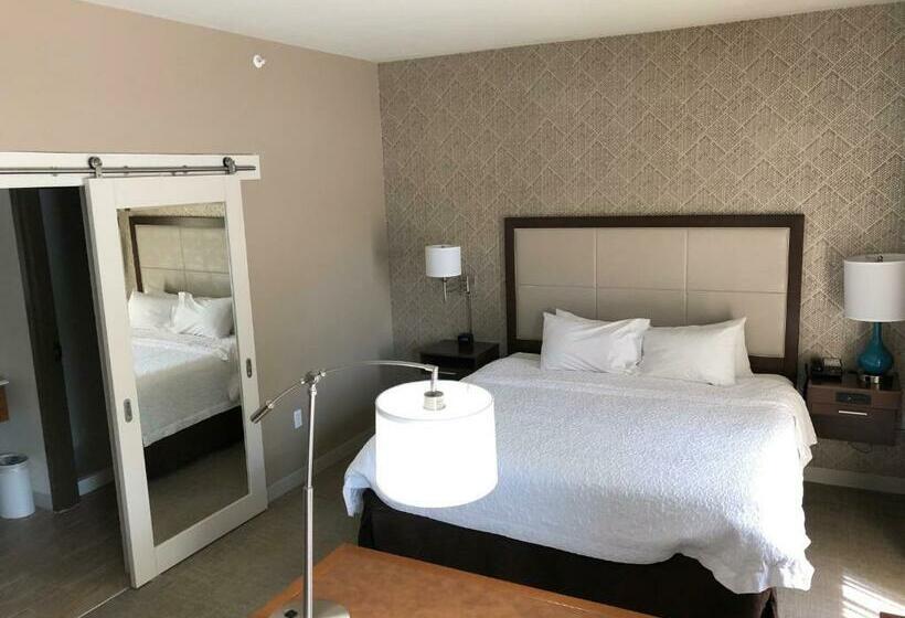 Стандартный Номер Кровать Кинг, Hampton Inn & Suites Tampa Busch Gardens Area