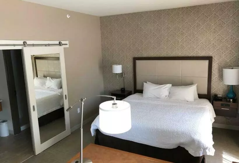 キングサイズベッドのスタンダードルーム, Hampton Inn & Suites Tampa Busch Gardens Area