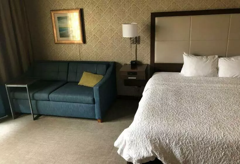 身障者適用キングサイズベッドルーム, Hampton Inn & Suites Tampa Busch Gardens Area