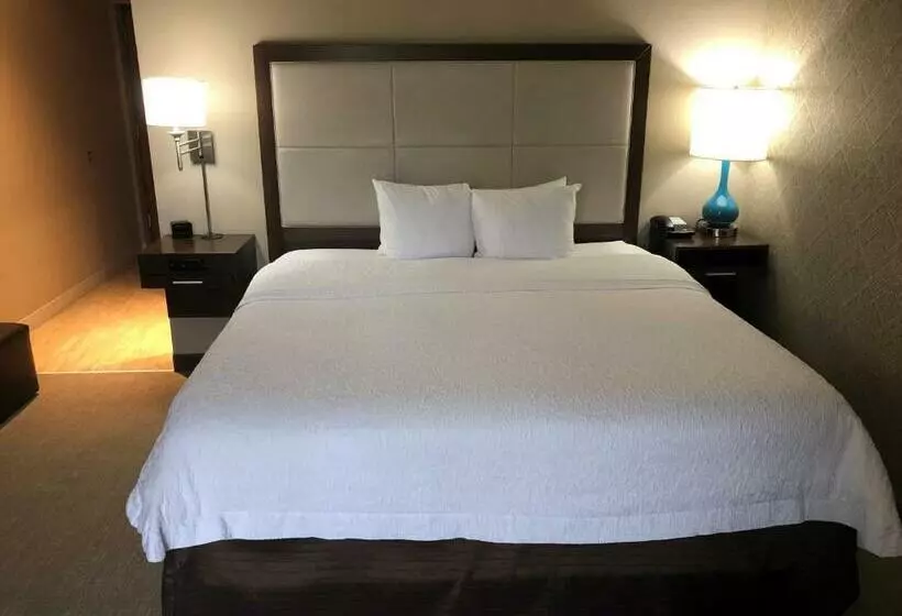 キングサイズベッドのスタンダードルーム, Hampton Inn & Suites Tampa Busch Gardens Area