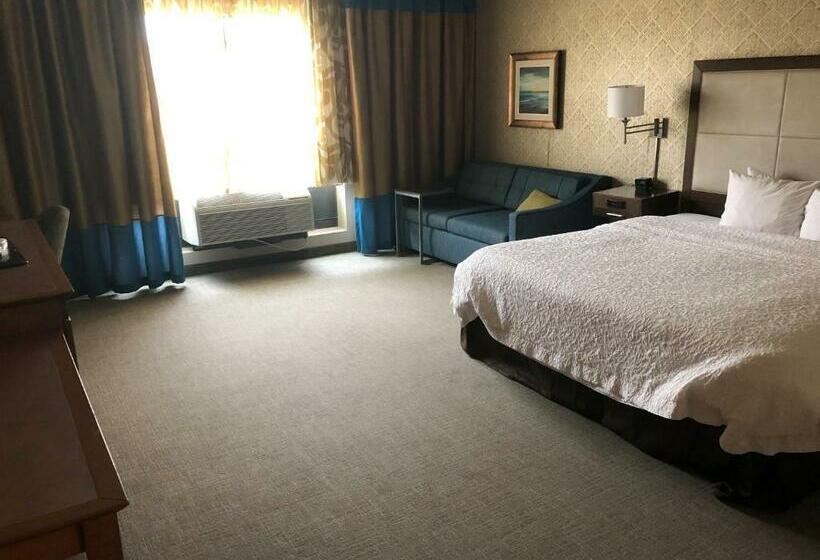 غرفة قياسية سرير كينج لذوى الإحتياجات الخاصة, Hampton Inn & Suites Tampa Busch Gardens Area