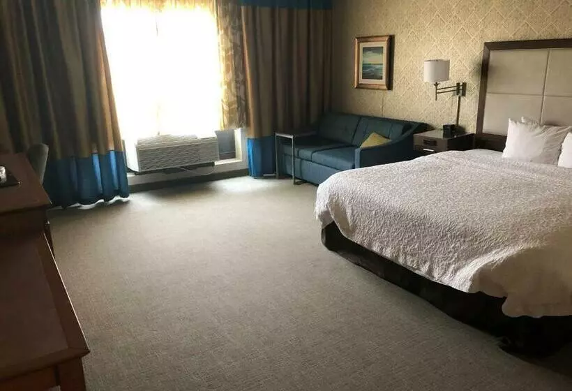 身障者適用キングサイズベッドルーム, Hampton Inn & Suites Tampa Busch Gardens Area