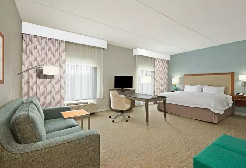 キングサイズベッドのデラックススイート, Hampton Inn & Suites North Huntingdonirwin