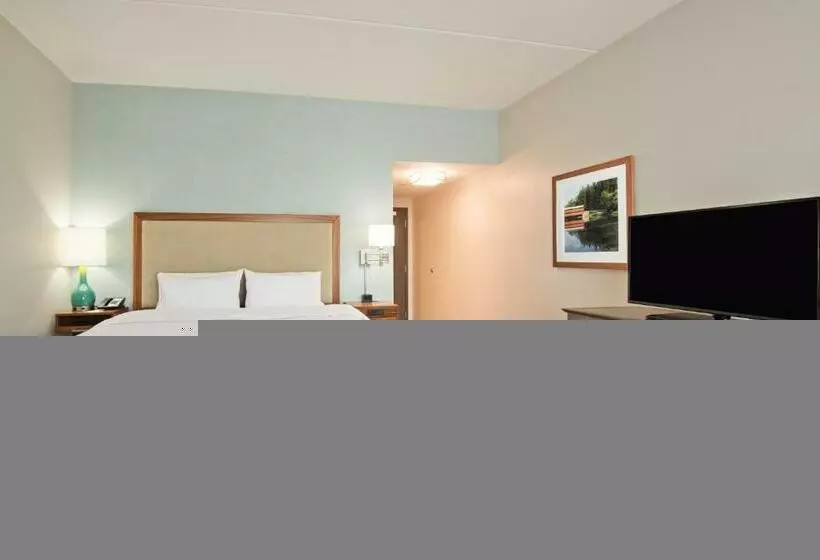 キングサイズベッドのスタンダードルーム, Hampton Inn & Suites North Huntingdonirwin