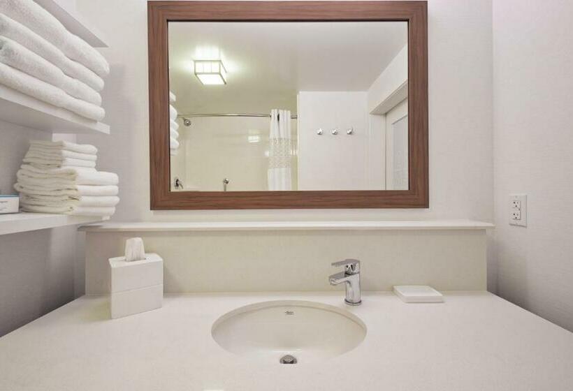 جناح ديلوكس سرير كينج, Hampton Inn & Suites North Huntingdonirwin