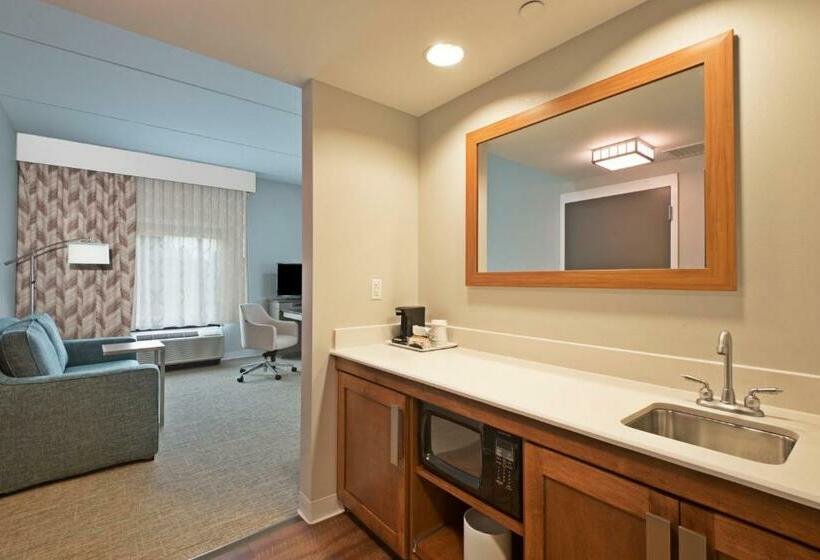 جناح ديلوكس سرير كينج, Hampton Inn & Suites North Huntingdonirwin