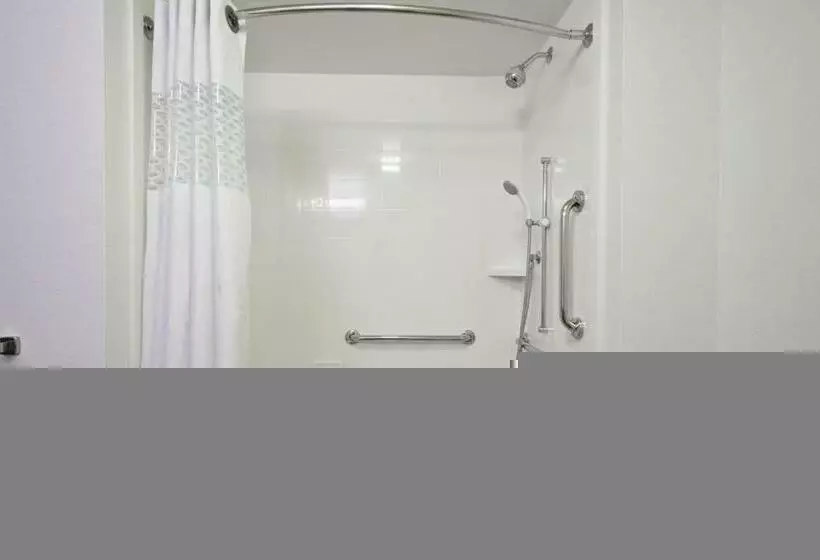 身障者適用キングサイズベッドルーム, Hampton Inn & Suites North Huntingdonirwin