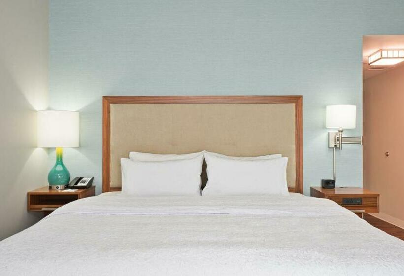 غرفة قياسية سرير كينج لذوى الإحتياجات الخاصة, Hampton Inn & Suites North Huntingdonirwin