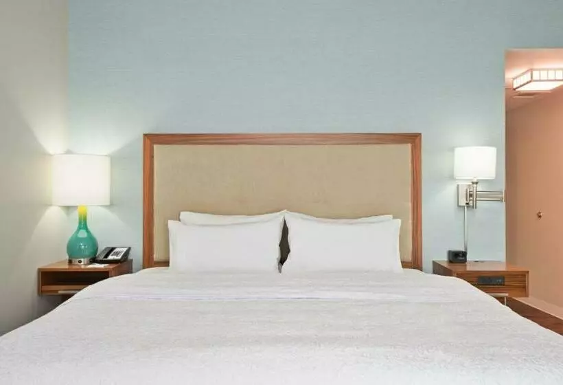 身障者適用キングサイズベッドルーム, Hampton Inn & Suites North Huntingdonirwin