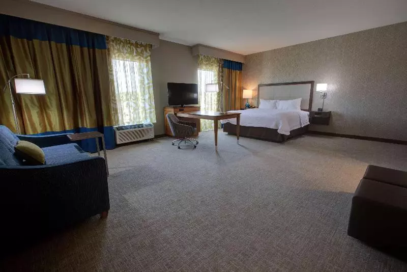 キングサイズベッドのスタンダードルーム, Hampton Inn & Suites Tampa Busch Gardens Area