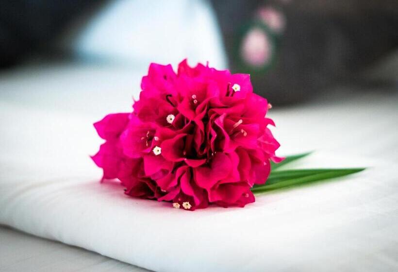 스탠다드 방갈로, Lazy Day The Resort