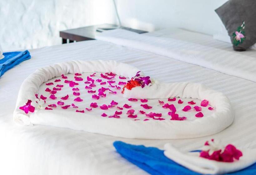 스탠다드 방갈로, Lazy Day The Resort