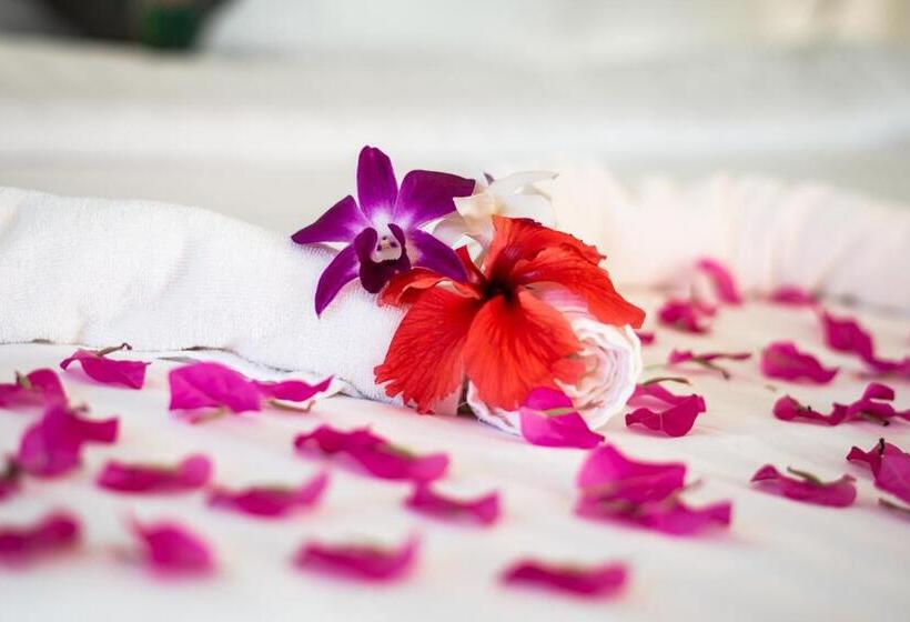 스탠다드 방갈로, Lazy Day The Resort