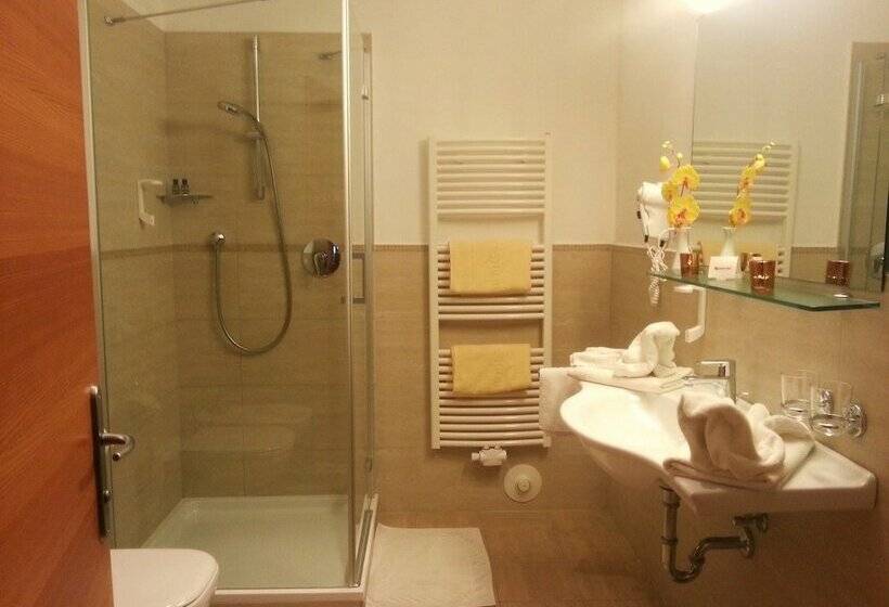 اتاق استاندارد, Stamserhof