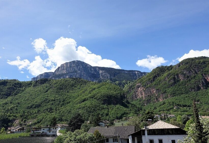 اتاق سوپریور, Stamserhof