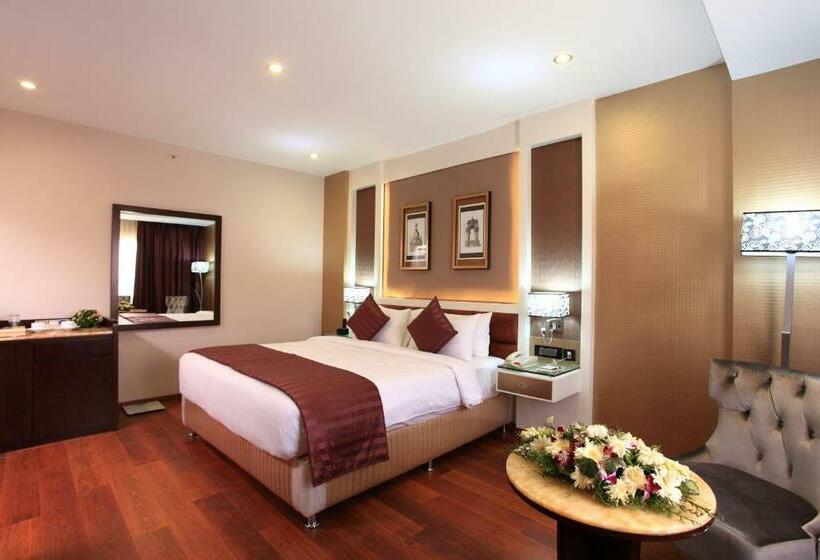 غرفة تنفيذية, The Pgs Vedanta